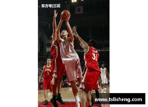 AG真人国际诺艾尔：NBA生涯回顾与技术分析